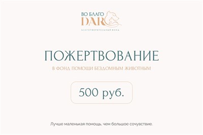 Пожертвование 500 руб. 1058789