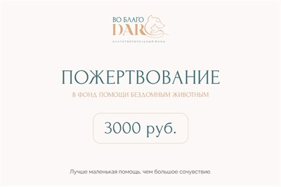 Пожертвование 3000 руб. 1672
